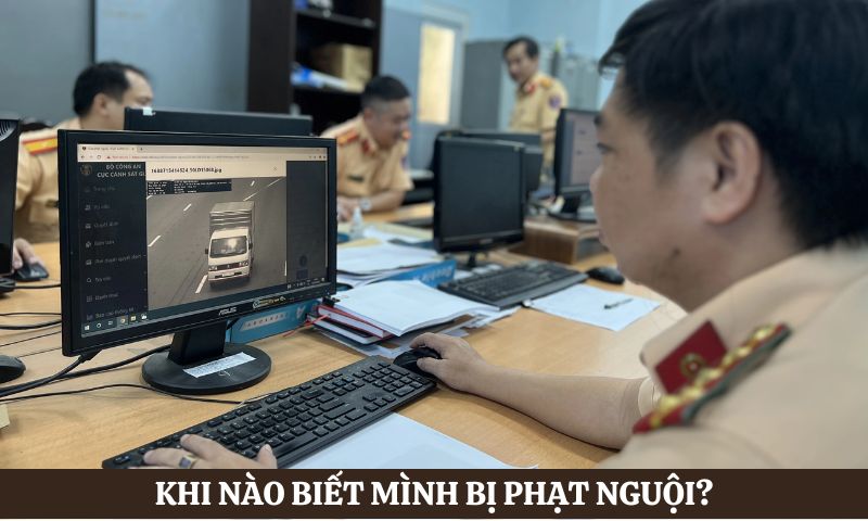câu hỏi khi nào biết mình bị phạt nguội